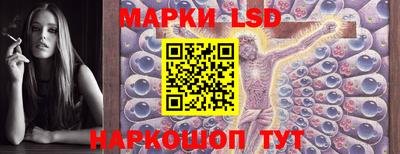 МДПВ Можга