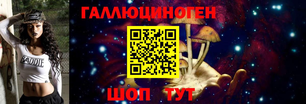 дарнет шоп  Вход с VPN  Сергиев Посад  Псилоцибиновые грибы Magic Shrooms  Галлюциногенные грибы Psilocybe 